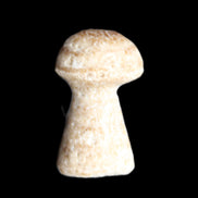 Pale Chocolate Calcite mushroom 27-33mm 7-15g in sunlight - Rocks and Things Store