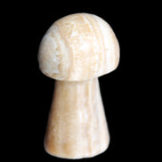 Pale Chocolate Calcite mushroom 27-33mm 7-15g in sunlight - Rocks and Things Store