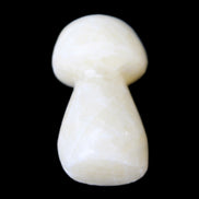 Yellow Calcite mushroom 27-30m 9-14g in sunlight - Rocks and Things Store