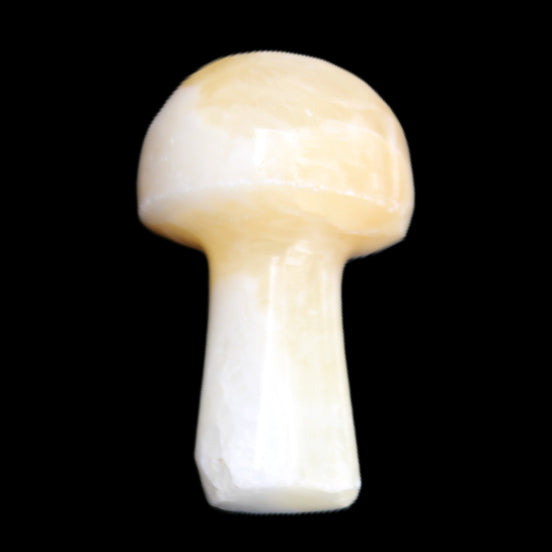 Yellow Calcite mushroom 27-30m 9-14g in sunlight - Rocks and Things Store