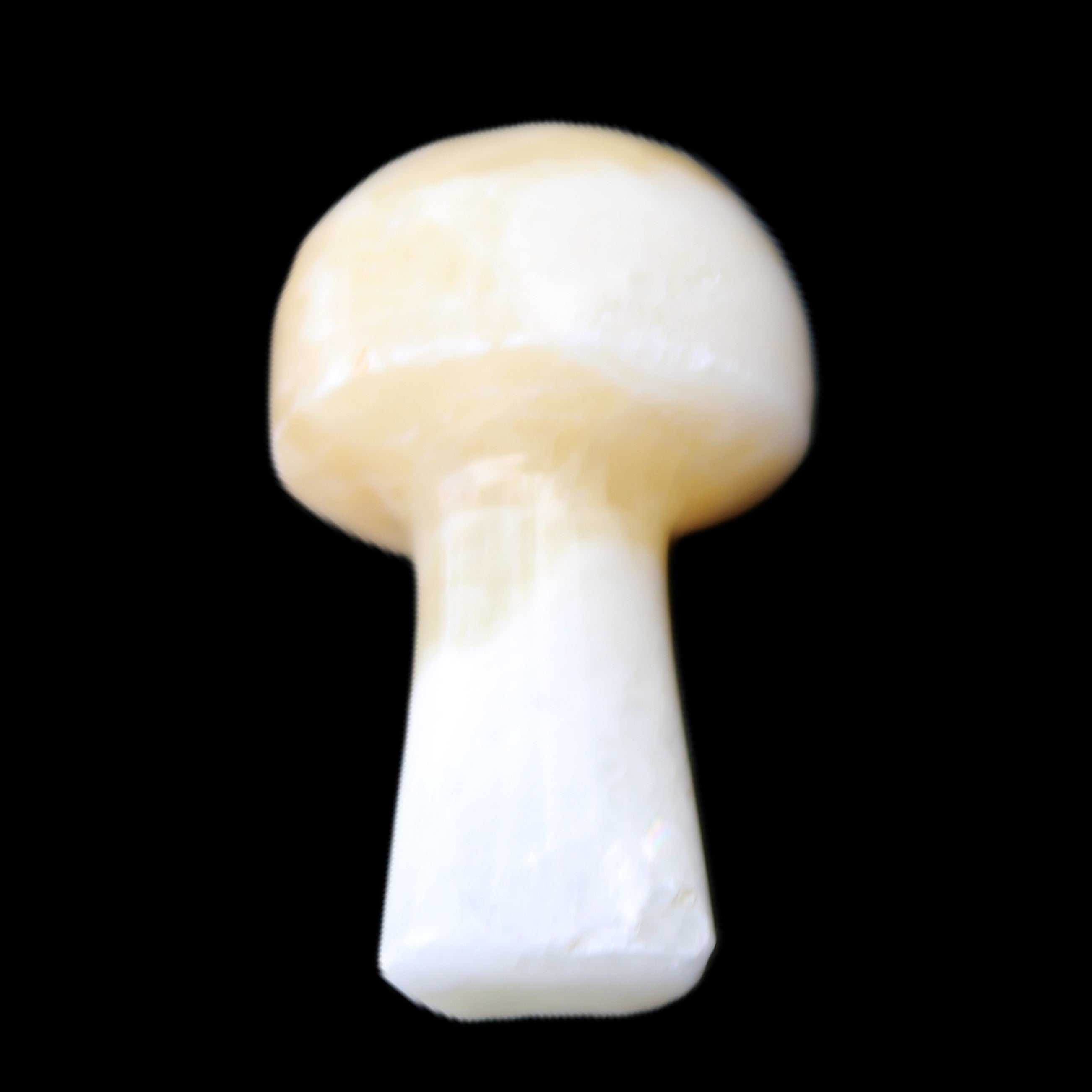 Yellow Calcite mushroom 27-30m 9-14g in sunlight - Rocks and Things Store