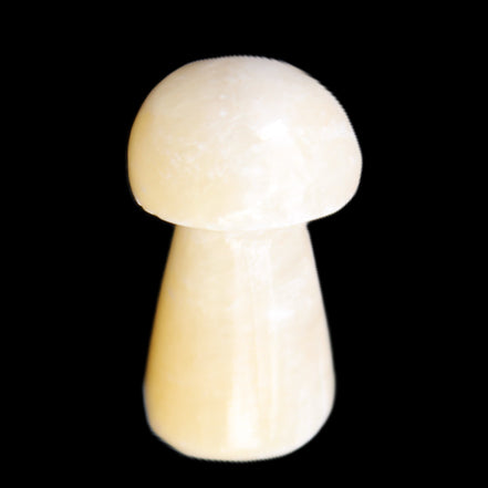 Yellow Calcite mushroom 27-30m 9-14g in sunlight - Rocks and Things Store