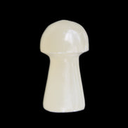 Yellow Calcite mushroom 28-30m 9-13g in sunlight - Rocks and Things Store