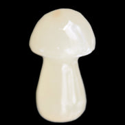 Yellow Calcite mushroom 28-30m 9-13g in sunlight - Rocks and Things Store