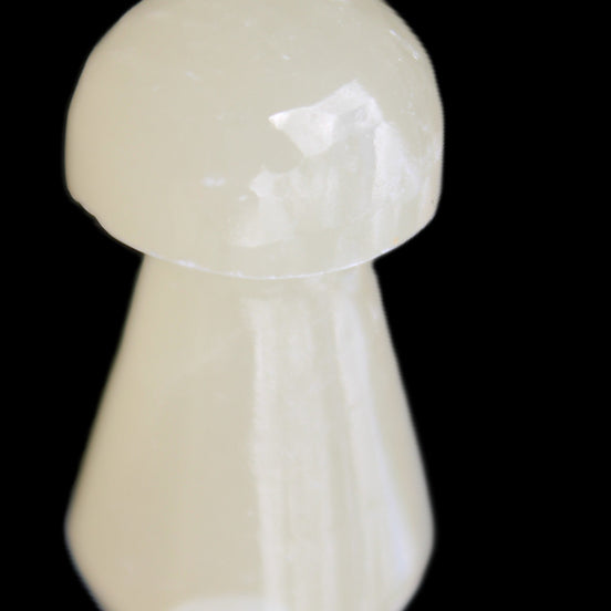 Yellow Calcite mushroom 28-30m 9-13g in sunlight - Rocks and Things Store