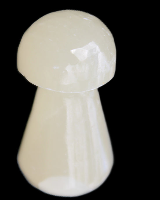 Yellow Calcite mushroom 28-30m 9-13g in sunlight - Rocks and Things Store
