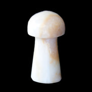 Caribbean Calcite mushroom 27-36mm 9-15g in sunlight - Rocks and Things Store