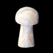 Caribbean Calcite mushroom 27-36mm 9-15g in sunlight - Rocks and Things Store