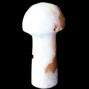 Caribbean Calcite mushroom 27-36mm 9-15g in sunlight - Rocks and Things Store