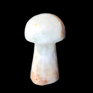Caribbean Calcite mushroom 27-36mm 9-15g in sunlight - Rocks and Things Store