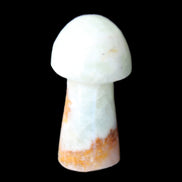 Caribbean Calcite mushroom 27-36mm 9-15g in sunlight - Rocks and Things Store