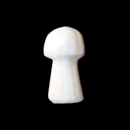Caribbean Calcite mushroom 27-36mm 9-15g in sunlight - Rocks and Things Store