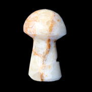Caribbean Calcite mushroom 27-36mm 9-15g in sunlight - Rocks and Things Store