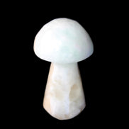 Caribbean Calcite mushroom 27-36mm 9-15g in sunlight - Rocks and Things Store