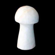 Caribbean Calcite mushroom 27-36mm 9-15g in sunlight - Rocks and Things Store