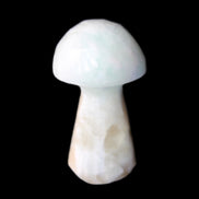 Caribbean Calcite mushroom 27-36mm 9-15g in sunlight - Rocks and Things Store