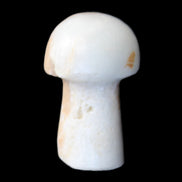 Caribbean Calcite mushroom 27-36mm 9-15g in sunlight - Rocks and Things Store