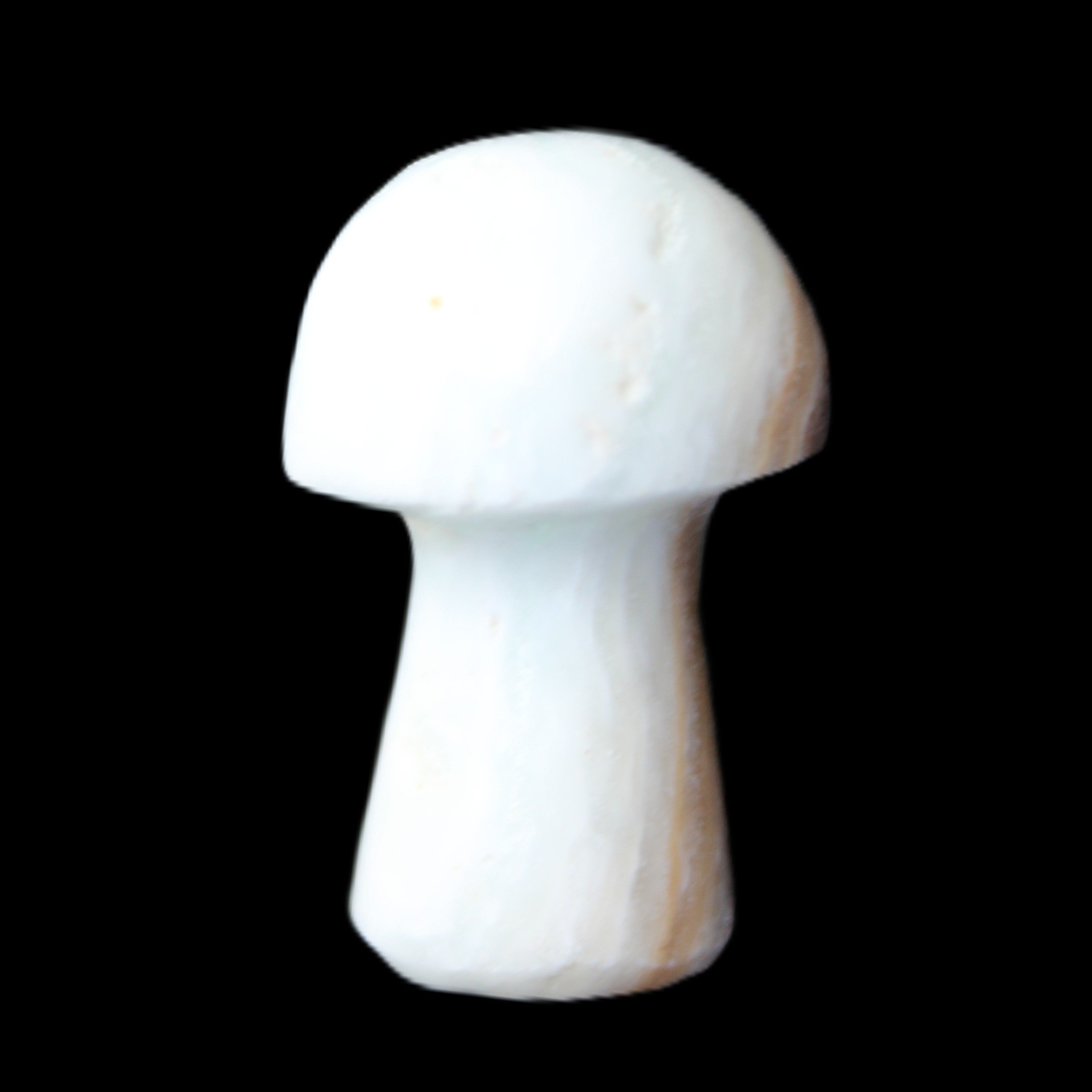 Caribbean Calcite mushroom 27-36mm 9-15g in sunlight - Rocks and Things Store