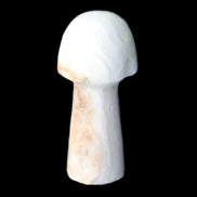 Caribbean Calcite mushroom 27-36mm 9-15g in sunlight - Rocks and Things Store