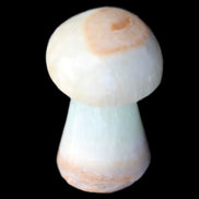Caribbean Calcite mushroom 27-36mm 9-15g in sunlight - Rocks and Things Store