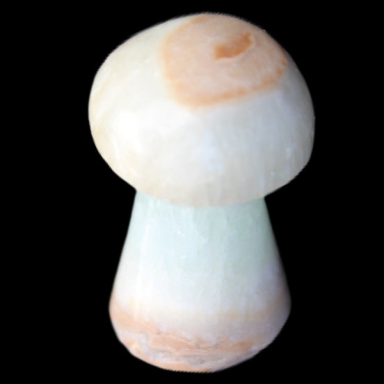Caribbean Calcite mushroom 27-36mm 9-15g in sunlight - Rocks and Things Store