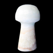 Caribbean Calcite mushroom 27-36mm 9-15g in sunlight - Rocks and Things Store