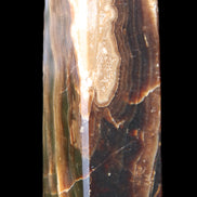 Chocolate Calcite obelisk 120*33*32mm 332g in sunlight - Rocks and Things Store