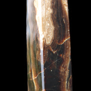 Chocolate Calcite obelisk 120*33*32mm 332g in sunlight - Rocks and Things Store