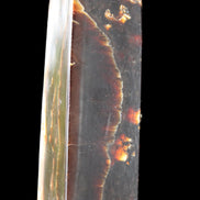 Chocolate Calcite obelisk 132*30*28mm 282g in sunlight - Rocks and Things Store