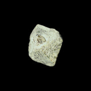 Magnetic Epidote octahedral crystal 20mm 8-10g in sunlight - Rocks and Things Store