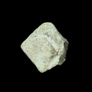 Magnetic Epidote octahedral crystal 20mm 8-10g in sunlight - Rocks and Things Store