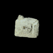 Magnetic Epidote octahedral crystal 20mm 8-10g in sunlight - Rocks and Things Store