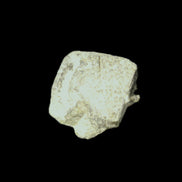 Magnetic Epidote octahedral crystal 20mm 8-10g in sunlight - Rocks and Things Store