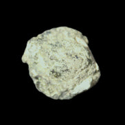 Magnetic Epidote irregular octahedral crystal 20mm 6-9g in sunlight - Rocks and Things Store