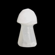 Clear Calcite mushroom 27-35mm 10-16g in sunlight - Rocks and Things Store