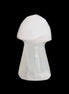Clear Calcite mushroom 27-35mm 10-16g in sunlight - Rocks and Things Store