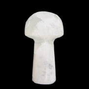 Clear Calcite mushroom 27-35mm 10-16g in sunlight - Rocks and Things Store