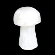 Clear Calcite mushroom 27-35mm 10-16g in sunlight - Rocks and Things Store