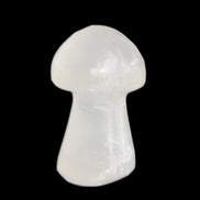 Clear Calcite mushroom 27-35mm 10-16g in sunlight - Rocks and Things Store