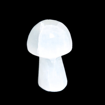 Clear Calcite mushroom 27-35mm 10-16g in sunlight - Rocks and Things Store