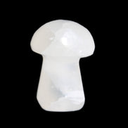 Clear Calcite mushroom 27-35mm 10-16g in sunlight - Rocks and Things Store