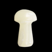 Clear Calcite mushroom 27-35mm 10-16g in sunlight - Rocks and Things Store