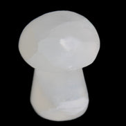 Clear Calcite mushroom 27-35mm 10-16g in sunlight - Rocks and Things Store