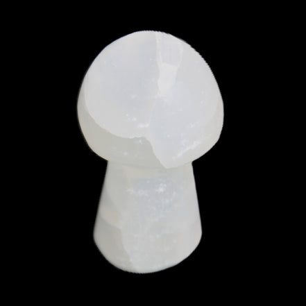 Clear Calcite mushroom 27-35mm 10-16g in sunlight - Rocks and Things Store
