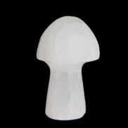 Clear Calcite mushroom 27-35mm 10-16g in sunlight - Rocks and Things Store