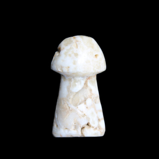 Mottled Calcite mushroom 30-33mm 10g in sunlight - Rocks and Things Store