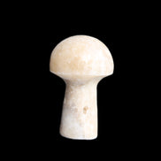 Mottled Calcite mushroom 30-33mm 10g in sunlight - Rocks and Things Store