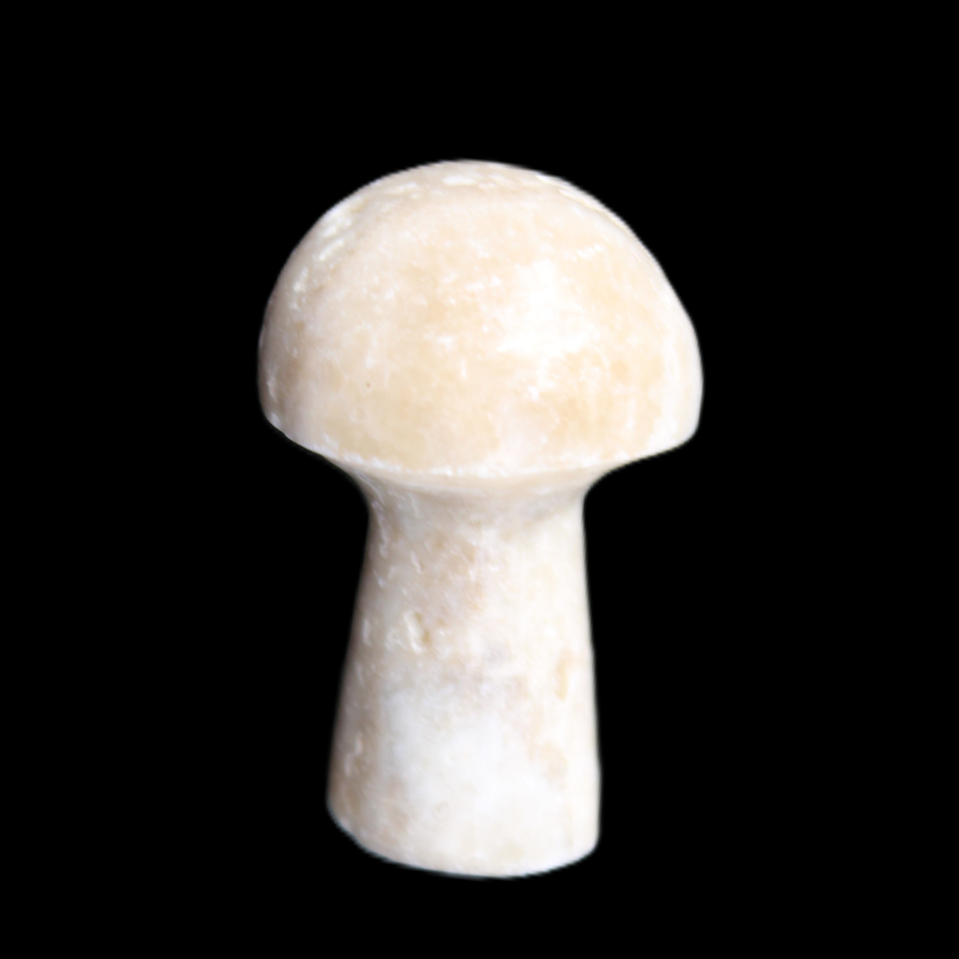Mottled Calcite mushroom 30-33mm 10g in sunlight - Rocks and Things Store