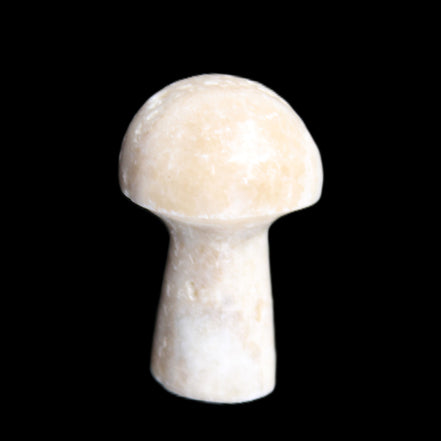 Mottled Calcite mushroom 30-33mm 10g in sunlight - Rocks and Things Store