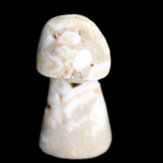 Mottled Calcite mushroom 30-33mm 10g in sunlight - Rocks and Things Store